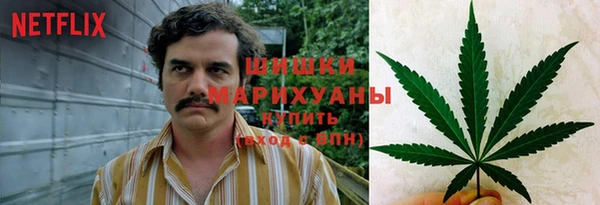 гидропоника Бородино