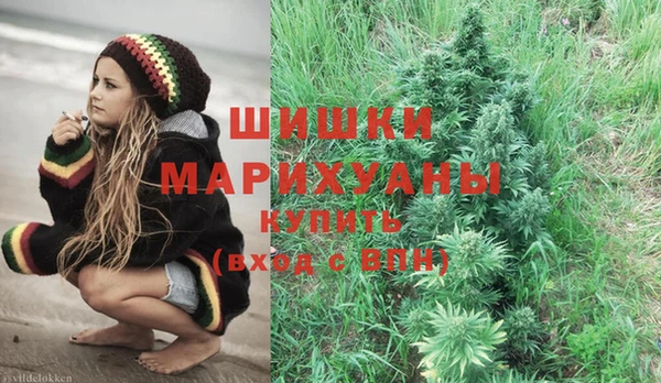 гидропоника Бородино