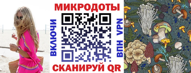 Галлюциногенные грибы Psilocybine cubensis  Коммунар 